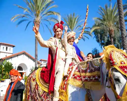 wedding horse in hyderabad