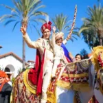 wedding horse in vijayawada