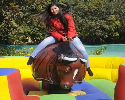 bull ride in rajahmundry
