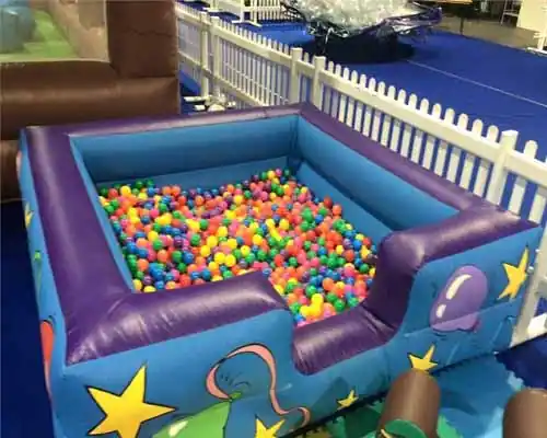 ball pool in pune for birthday