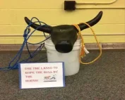 lasso game in Hyderabad for corporate team Building activities