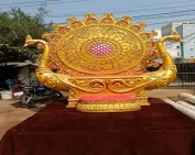 Wedding special entry in Hyderabad